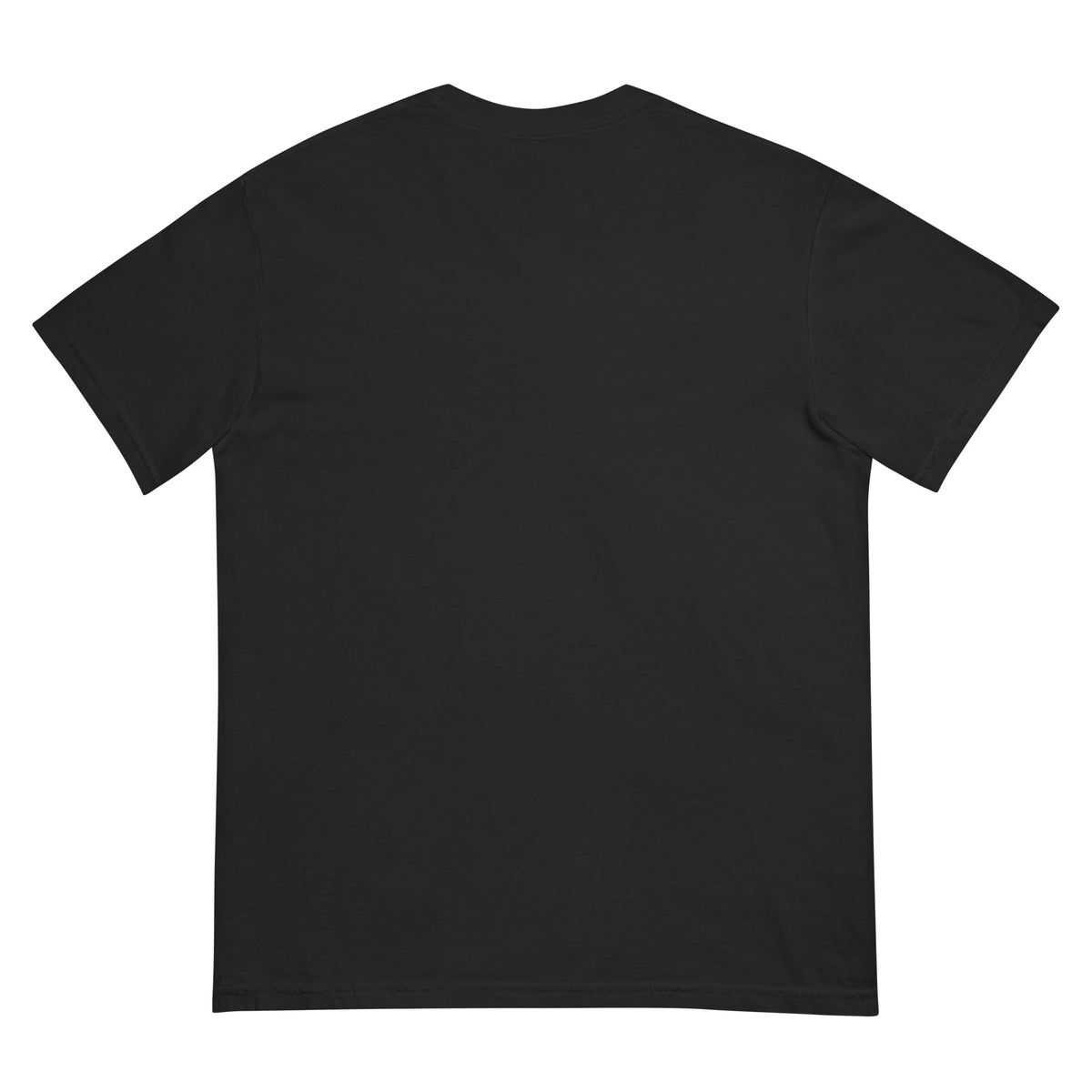 ROAD ISSUE Logbook Heavyweight Tee in Black — back view, unprinted