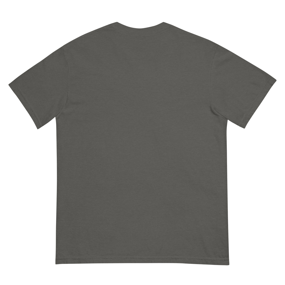 ROAD ISSUE Manifest Heavyweight Tee in Pepper — back garment view