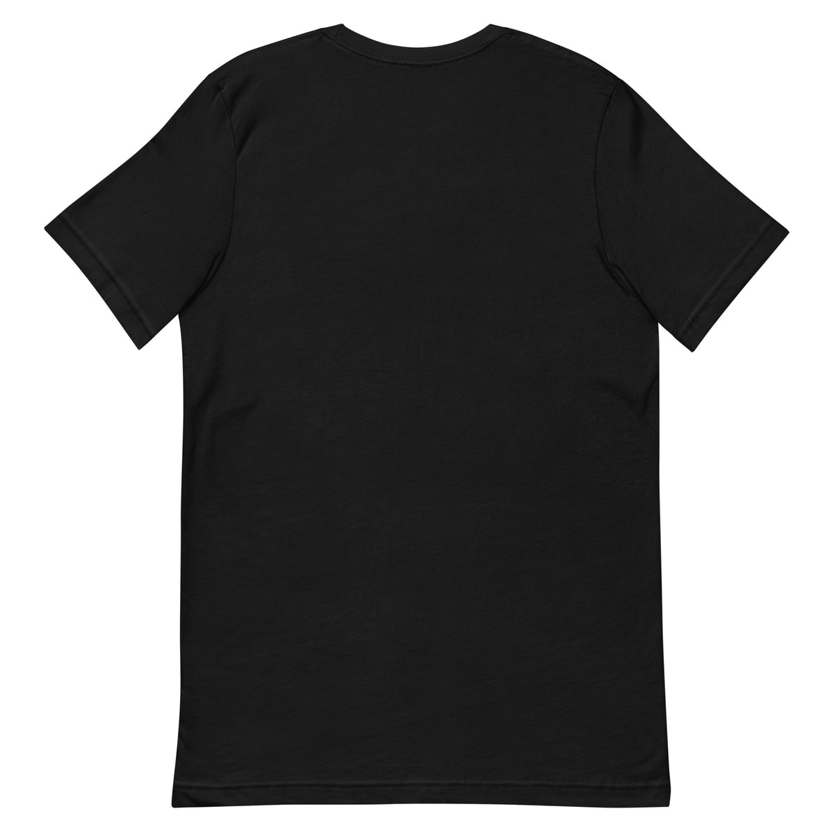 ROAD ISSUE Return Route Everyday Tee in Black — back garment view